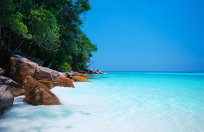 Which is a better holiday destination: Andaman & Nicobar or Lakshadweep?