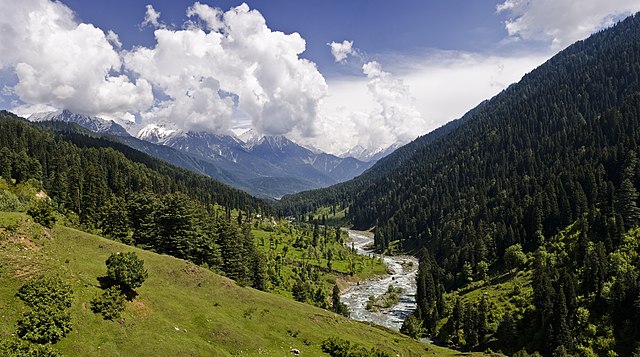 Kashmir Tour Packages: Your Ultimate Guide to the Heaven on Earth